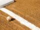 faute (foul ball) lexique du baseball